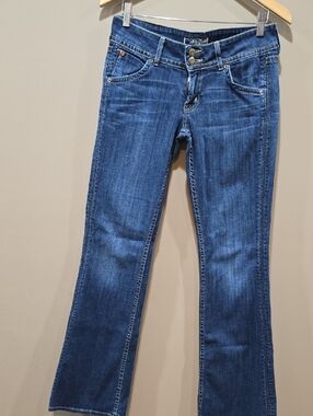Hudson Jeans Medium Blue Flare Women's Denim